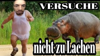 TRY NOT LAUGH ANIMALS CHALLENGE👀Habe ich gelachtBESTRAFUNG😱😅 [upl. by Moreland691]