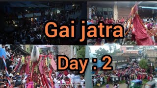 salyan Gai jatra 2081  Day2  🤩🤩🤩 [upl. by Natsirhc46]