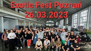 EXOTIC FEST Inna relacja z giełdy terrarystycznej tollspiders 4K [upl. by Hsirk]