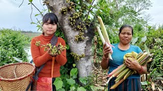 Jungle Se Wild vegetables collect kiya river side mei  Tara banana followers rare fruit [upl. by Aihtnyc311]