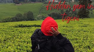 TEA FARM HIKE IN TIGONIwaterfall inn [upl. by Richey736]