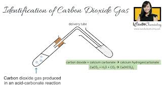 Carbon Dioxide  How to identify in Chemistry Laboratory [upl. by Aleb]