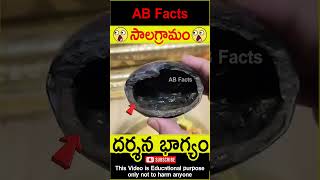 🙏సాలగ్రామం🙏 Mahavishnu roopam in shaligram telugufacts vishnupuran shorts youtubeshorts abfacts [upl. by Candice]