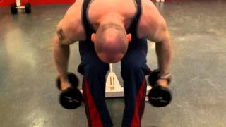 Rear Delt Raises Bent Over Laterals [upl. by Blynn]