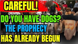 SHOCKING What Chico Xavier Predicted for Those Who Have DOGS at Home  Prophecies Revealed [upl. by Etteve]