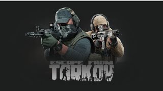 【tarkov 】お金がずっとない【Vtuber】 [upl. by Zalucki]