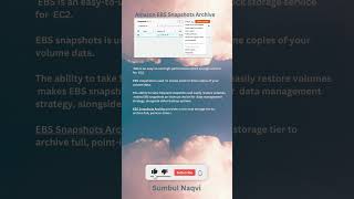 AWS Amazon EBS Snapshots Archive aws certification exam ccp saa cloudcomputing [upl. by Nylinej]