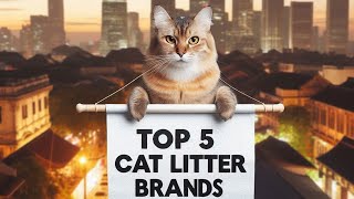 Best Cat Litter Brands of 2024 cat bestcatlitter2024 catlitter [upl. by Flint]