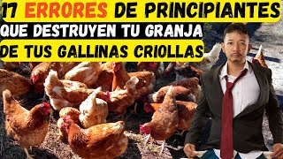 17 Errores que Cometen los Principiantes en la Cría de Gallinas criollas ponedoras y Cómo Evitarlos [upl. by Handel]