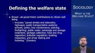 What is the Welfare State [upl. by Haeel669]