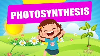 Photosynthesis  Educational Video  Science Lesson  Crash Course  Biology  Plants [upl. by Zetneuq]