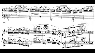 Sergei Lyapunov Piano Concerto No 1 Op 4 Tsintsabadze  Yablonsky [upl. by Curry]