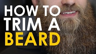 How to Trim a Beard  The Art of Manliness [upl. by Aimas721]