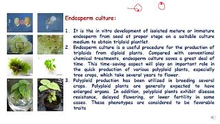 Plant Endosperm culture [upl. by Daria]