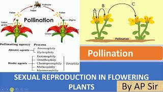 Pollination and its type [upl. by Pippa]