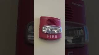 Simplex truealert fire alarm [upl. by Morocco]