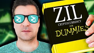 Zilliqa 20 ZIL Review A Beginners Guide [upl. by Briano589]