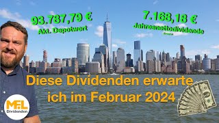 Diese Dividenden erwarte ich im Februar Aktiendepot quotNo risk no funquot [upl. by Esme]