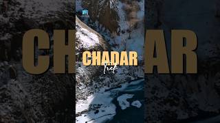 Experience the thrill of walking on ice with Chadar Trek🏔🤩 [upl. by Lotty787]