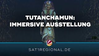 Ägyptischer Pharao Tutanchamun Immersive Ausstellung in Hamburg [upl. by Eedia]