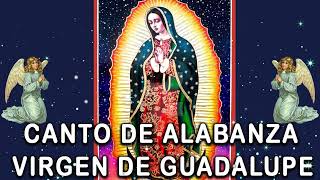 Canciones A La Virgen De Guadalupe 45 Cantos A La Virgen De Guadalupe [upl. by Ober]