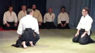 Daitoryu Aikijujutsu Takumakai Helsinki 2015 Koryu Embutaikai Part 27 [upl. by Airahcaz]