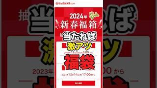 抽選だけど当たれば激アツのビックカメラ福袋2024年 [upl. by Mafalda]