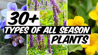 32 Types of All Season Plants  The Planet of Greens [upl. by Elaval393]