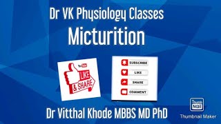 Micturition micturition reflex physiology [upl. by Adnoryt]