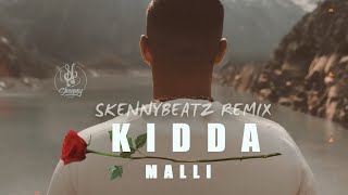 KIDDA  MALLI SKENNYBEATZ REMIX [upl. by Bundy]