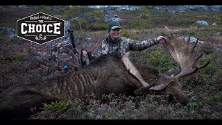 Vicki Cianciarulo Takes Bull Moose with Browning Rifle in Newfoundland with Her Son RJ Filming [upl. by April894]