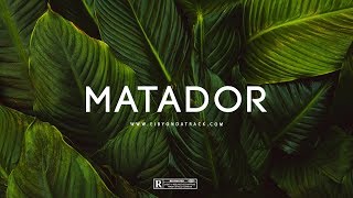 Matador  J Balvin x Dancehall Type Beat  Eibyondatrack [upl. by Esiuqcaj]