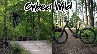 Orbea Wild M10  ist es wirklich so gut [upl. by Lahpos]