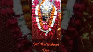 maa brahmani devi ballia bhakti love song trending maihar ganga maa video shortsvideo 🙏🙏🌿 [upl. by Ardnaeed]