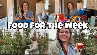 Canadian grocery haul Sobeys for 2 adults amp 2 teens and picking apples for dessert of the week [upl. by Oralle]