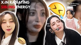 XIN radiating sibling energy Funny Moments [upl. by Waterman]