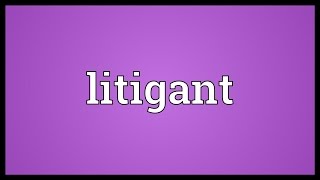 Litigant Meaning [upl. by Aliam]