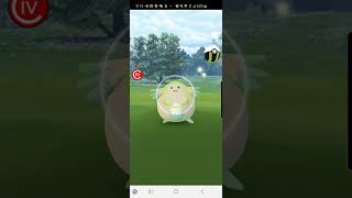 Pokémon GO 2020 Catching Shiny Chansey [upl. by Qahsi]