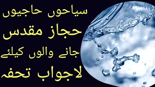 IF you went to Foreign Country and got sick from drinking the Water causes amp solution in Urdu hindi [upl. by Reffinnej]