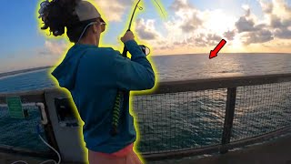 THIS is the BEST LURE for PIER FISHING Navarre Pier Fishing [upl. by Sherill]