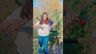 Happier this time by Marshmello amp Bastille on a solo violin in the forest [upl. by Stiruc452]