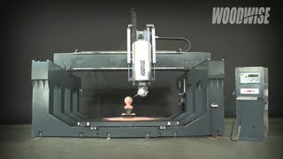 WOODWISE 5Axis CNC [upl. by Nahtaneoj134]