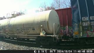 241027 South Facing Backyard Railcam [upl. by Dumond623]