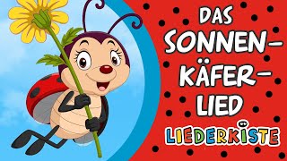 Das Sonnenkäferlied Erst kommt der Sonnenkäferpapa  Kinderlieder zum Mitsingen  Liederkiste [upl. by Vally]