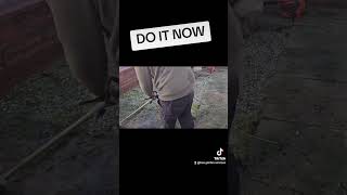 Do it now satisfying gardening gardening horsetail [upl. by Orose]