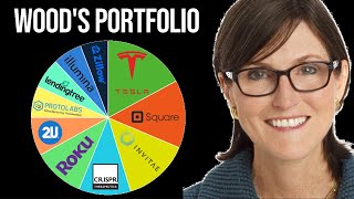 A Deep Look Into Cathie Woods Portfolio Ark Invest [upl. by Eidlog]