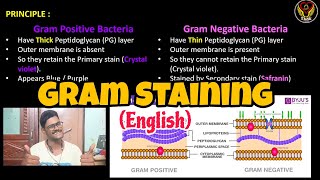 Gram Staining English  Microbiology  Principle amp Procedure  ThiNK Biology [upl. by Katerina275]