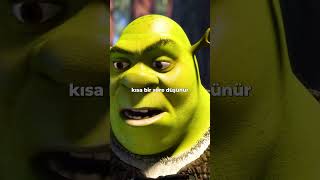 Shrek filminde bu detayı biliyor muydunuz [upl. by Radec453]