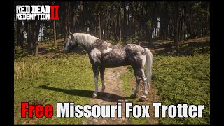 Getting the Missouri Fox Trotter [upl. by Adyaj]