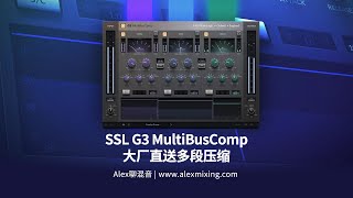 【继续扩军】SSL G3 MultiBusComp 来自硬件大厂的现代化多段压缩 [upl. by Aicekal]